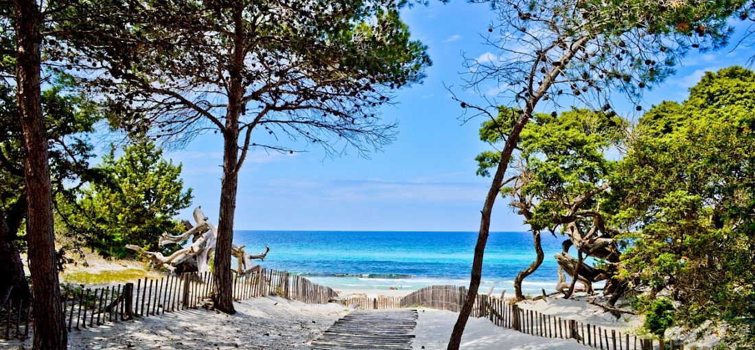 Plage de Saleccia (L'Île Rousse), Corse, France
