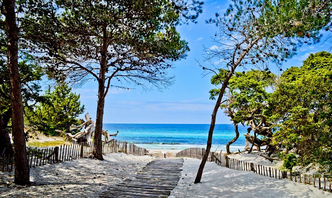 Plage de Saleccia (L'Île Rousse), Corse, France